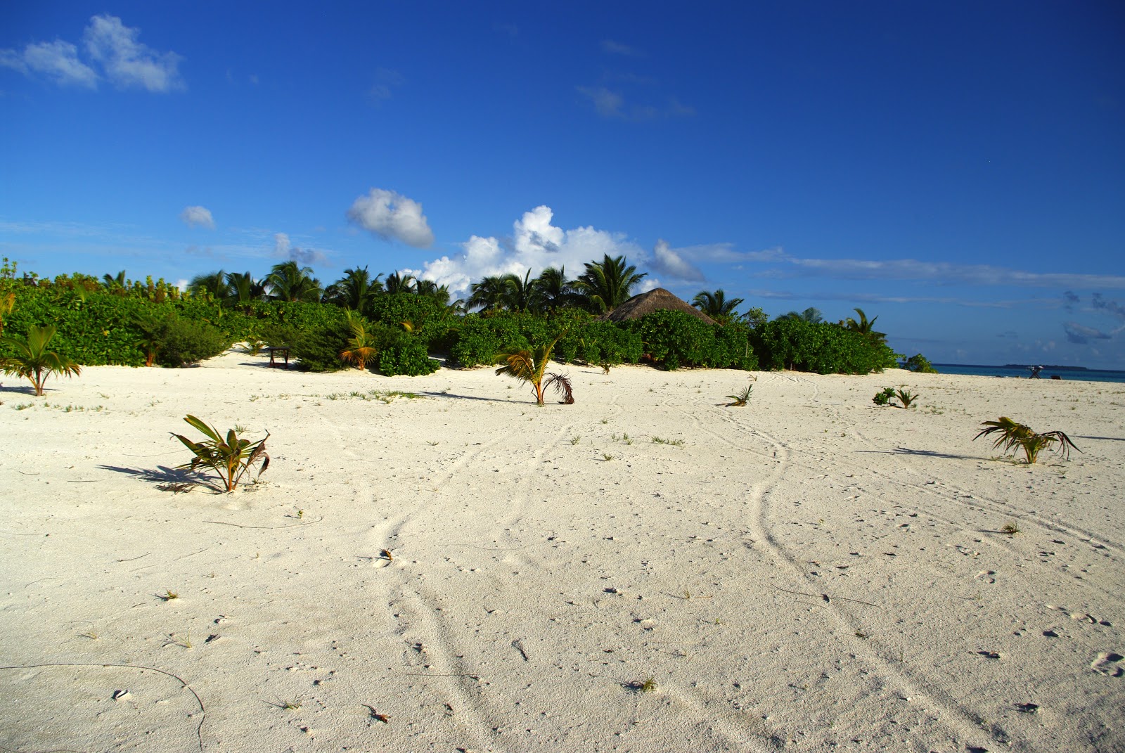 Photo de Feeali Beach situé dans une zone naturelle