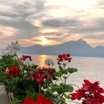 Photo n°4 de l'avis de Sofia.c fait le 31/08/2021 à 07:49 sur le  Miralago à Torri del Benaco