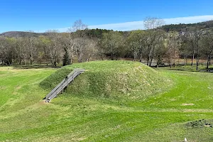 Etowah Indian Mounds State Historic Site image