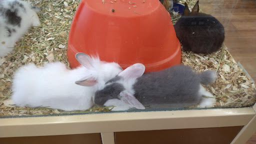 Pet Supply Store «Pet Supermarket, Inc.», reviews and photos, 3911 Lemmon Ave, Dallas, TX 75219, USA