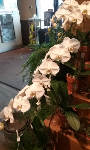 Grocery Store «Safeway», reviews and photos, 600 W Franklin St, Shelton, WA 98584, USA