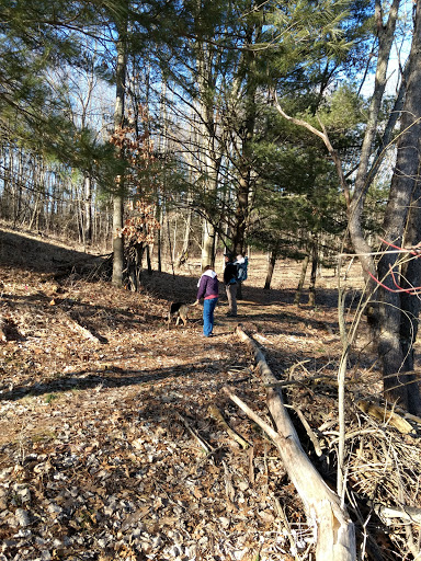 Nature Preserve «Bow in the Clouds Preserve», reviews and photos, 1805 Nazareth Rd, Kalamazoo, MI 49048, USA