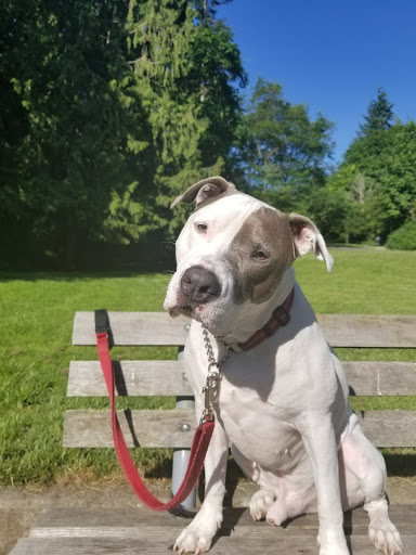 Park «Matthews Beach Park», reviews and photos, 5100 NE 93rd St, Seattle, WA 98115, USA