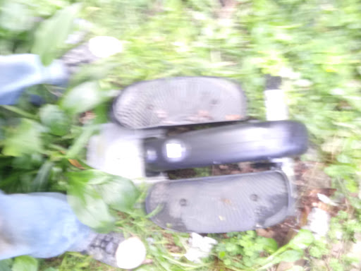 Liquor Store «Hampden Discount Liquors», reviews and photos, 7 Allen St, Hampden, MA 01036, USA