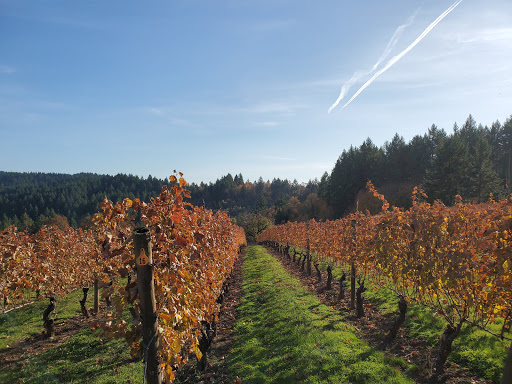 Winery «Kramer Vineyards», reviews and photos, 26830 NW Olson Rd, Gaston, OR 97119, USA