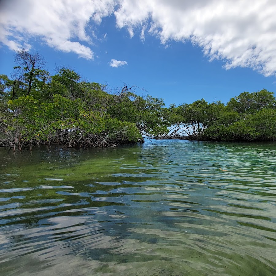 Cayo Collado