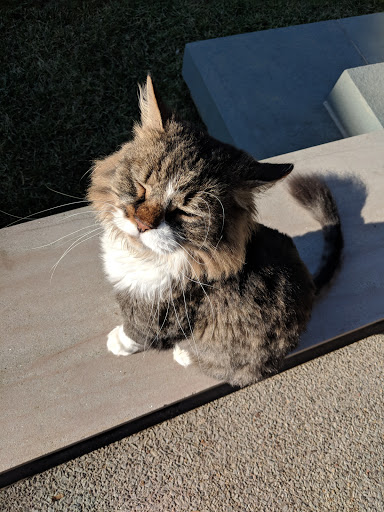 Art Museum «The Frick», reviews and photos, 7227 Reynolds St, Pittsburgh, PA 15208, USA