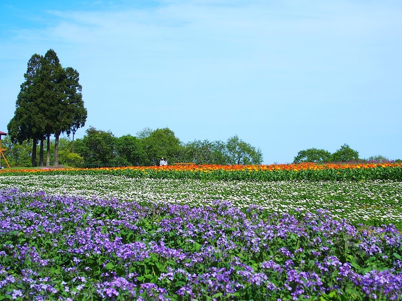 メナード青山リゾート ハーブガーデン 三重県津市白山町福田山 植物園 グルコミ