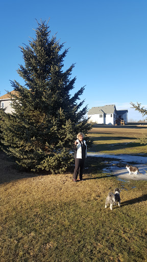 Golf Club «Cannon Golf Club», reviews and photos, 8606 295th St E, Cannon Falls, MN 55009, USA