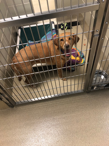 Peninsula Regional Animal Shelter