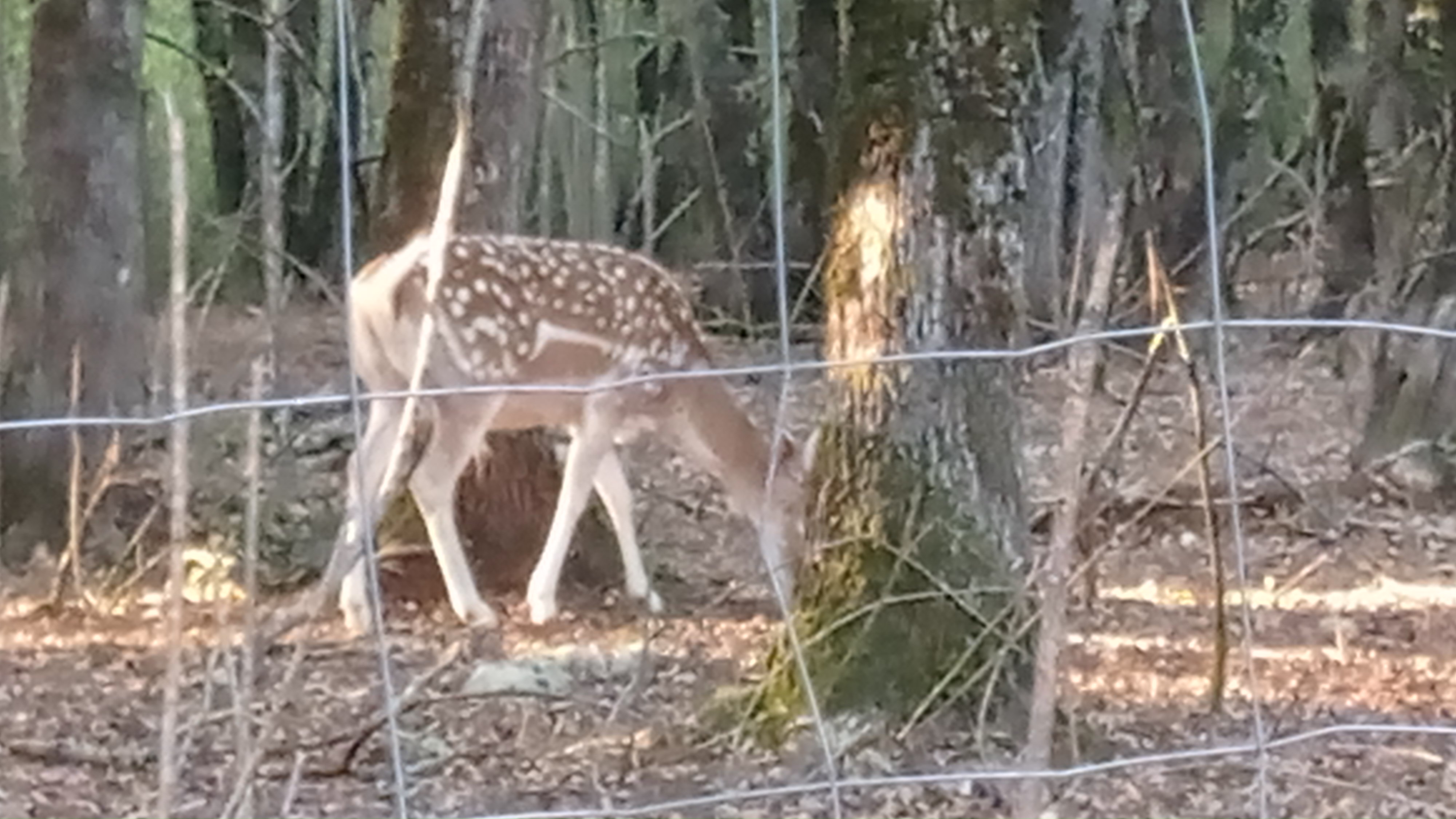 Photo n° 5 de l'avis de alain.o fait le 23/08/2022 à 08:56
