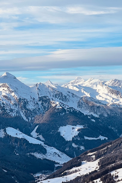 Wald - Königsleiten - Zillertal Arena