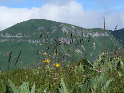 MOREL SPORT - Location De Skis - Le Buron à Besse-et-Saint-Anastaise
