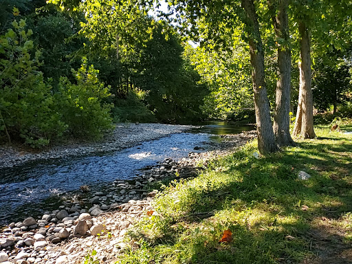 Vineyard «Torne Valley Vineyard», reviews and photos, 1 Torne Valley Rd, Hillburn, NY 10931, USA