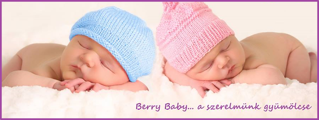 Berry Baby Kft- babaágynemű, babakelengye, babakocsi tartozék gyártás - Bababolt