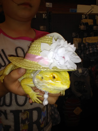 Pet Supply Store «Petco Animal Supplies», reviews and photos, 5925 US-6, Portage, IN 46368, USA