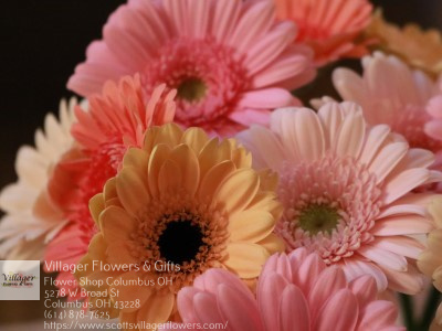 Florist «Villager Flowers & Gifts», reviews and photos, 5278 W Broad St, Columbus, OH 43228, USA