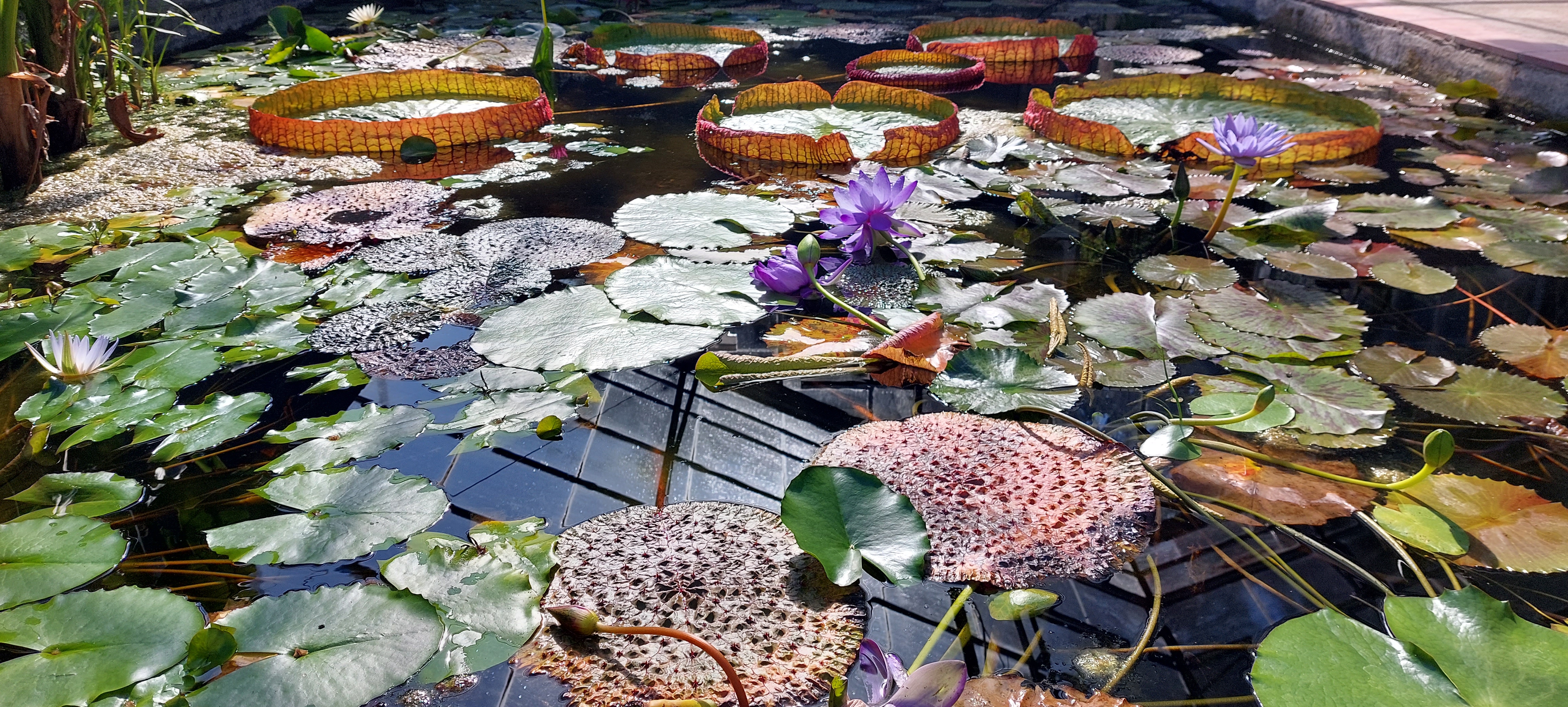 Photo n° 2 de l'avis de Virginie.a fait le 24/09/2021 à 06:44