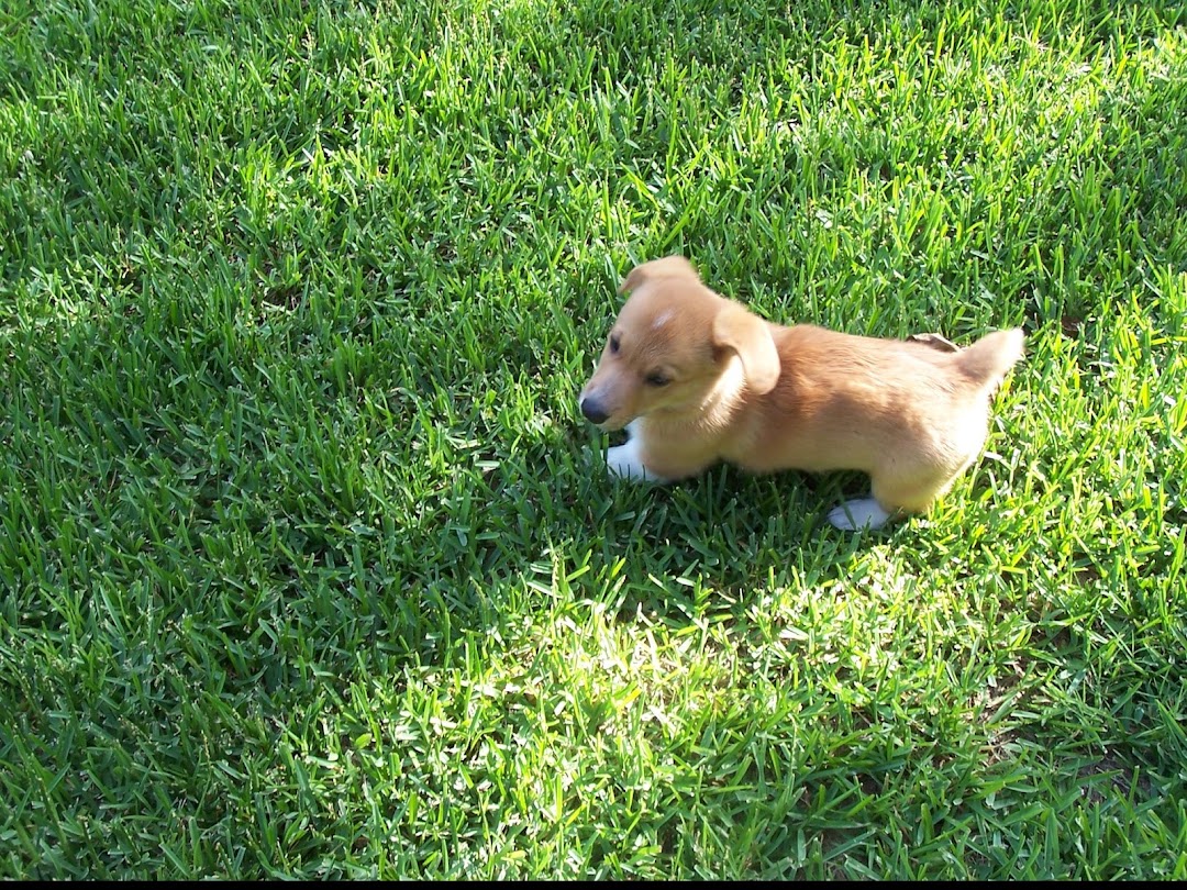 Washita Valley Sod Inc