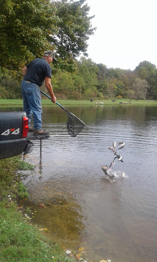 Fishing Store «Indian Creek Fishing & Fire Arms», reviews and photos, 3479 Mango Dr, Danielsville, PA 18038, USA