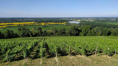 Point de vue sur la Garonne à Langoiran