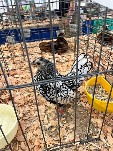 The Evergreen State Fairgrounds in Monroe, Washington - Zaubee