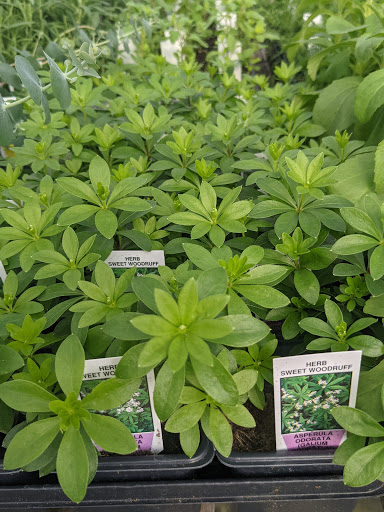 Wholesale Plant Nursery «Garden Fantasy», reviews and photos, 43250 Tyler Rd, Belleville, MI 48111, USA