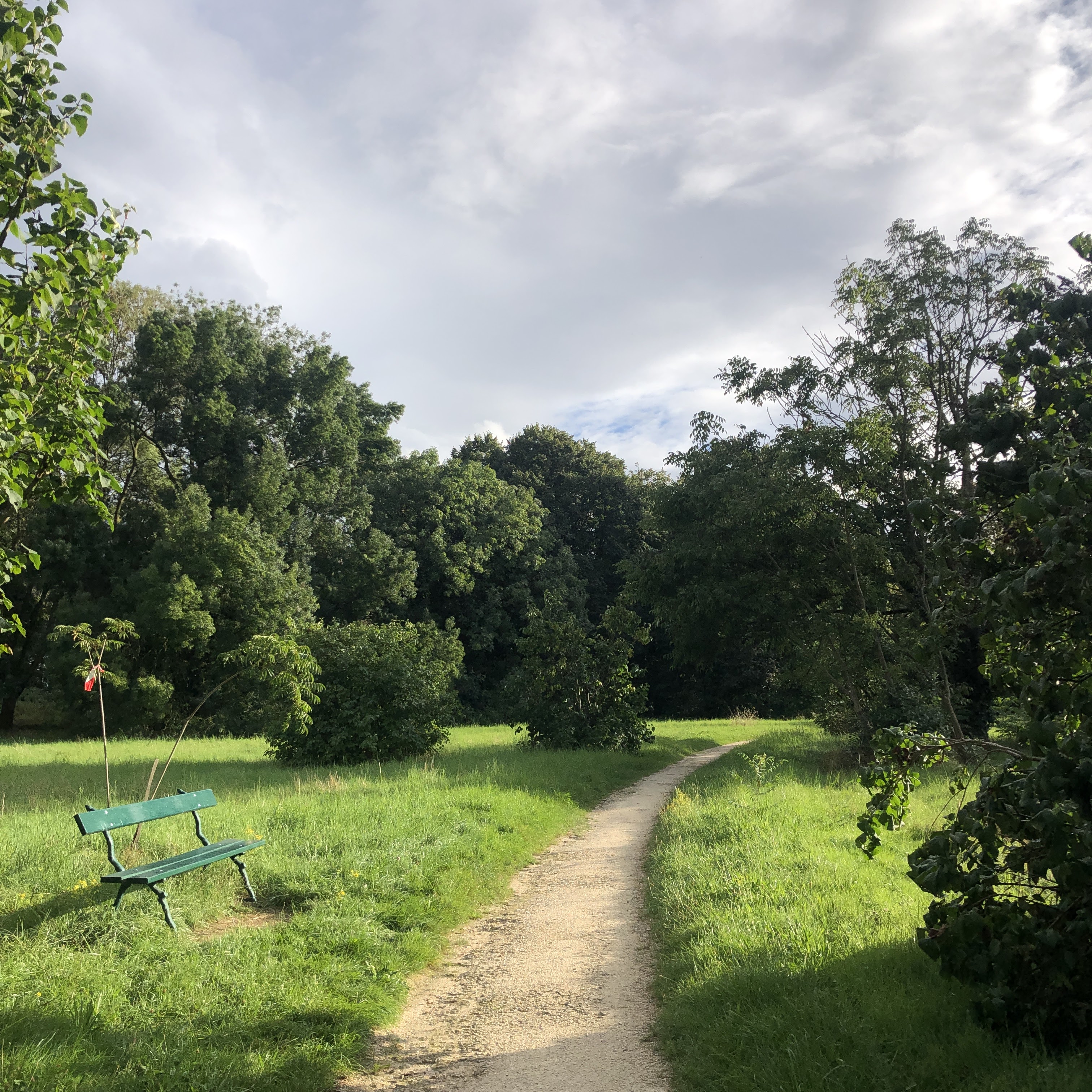 Photo n° 4 de l'avis de Munkhkhuslen.a fait le 29/08/2023 à 23:03