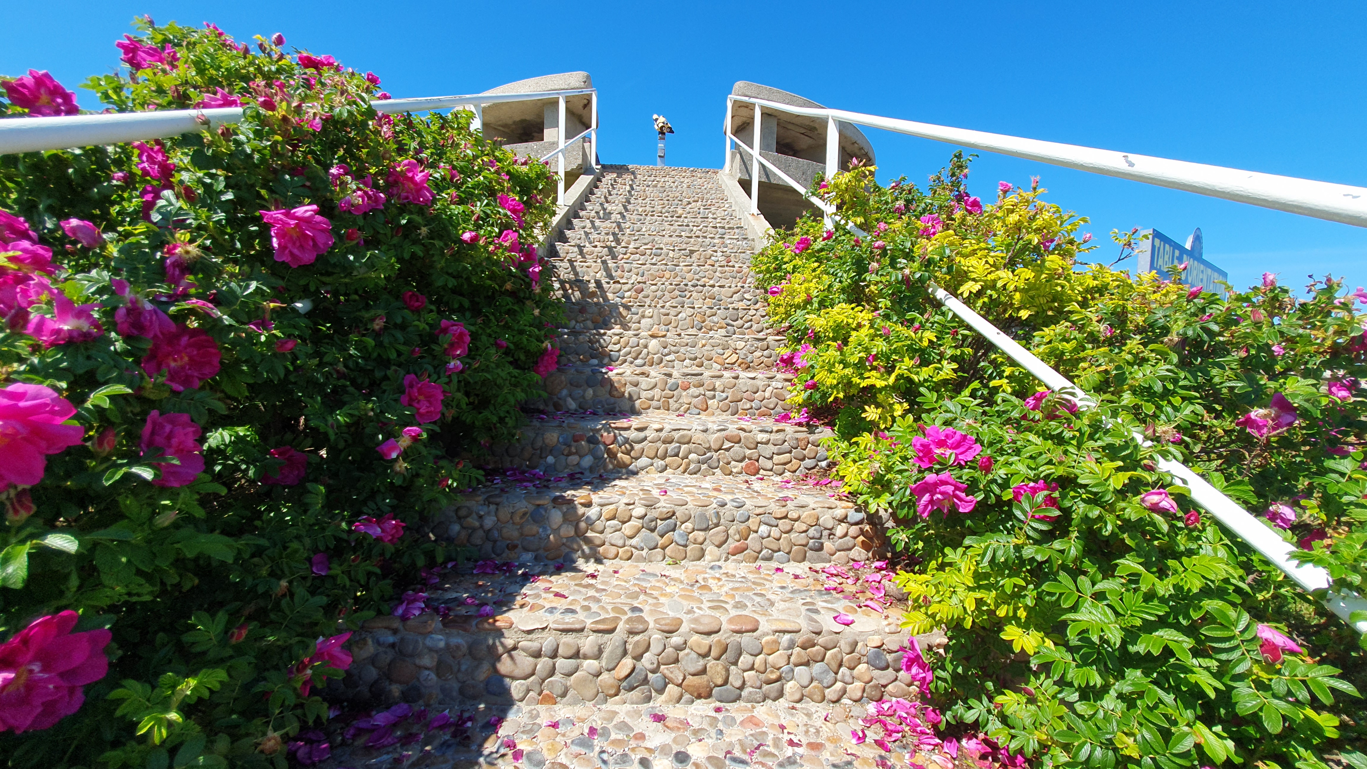 Photo n° 26 de l'avis de Krisztina.e fait le 27/05/2021 à 20:25