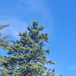 Photo n°13 de l'avis de Patrizia.r fait le 17/09/2023 à 06:59 sur le  La Terrazza di San Guido à Gualdo Tadino