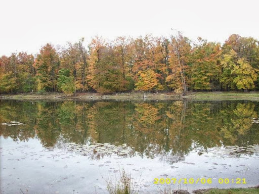 Nature Preserve «Reinstein Woods Nature Preserve», reviews and photos, 93 Honorine Dr, Depew, NY 14043, USA