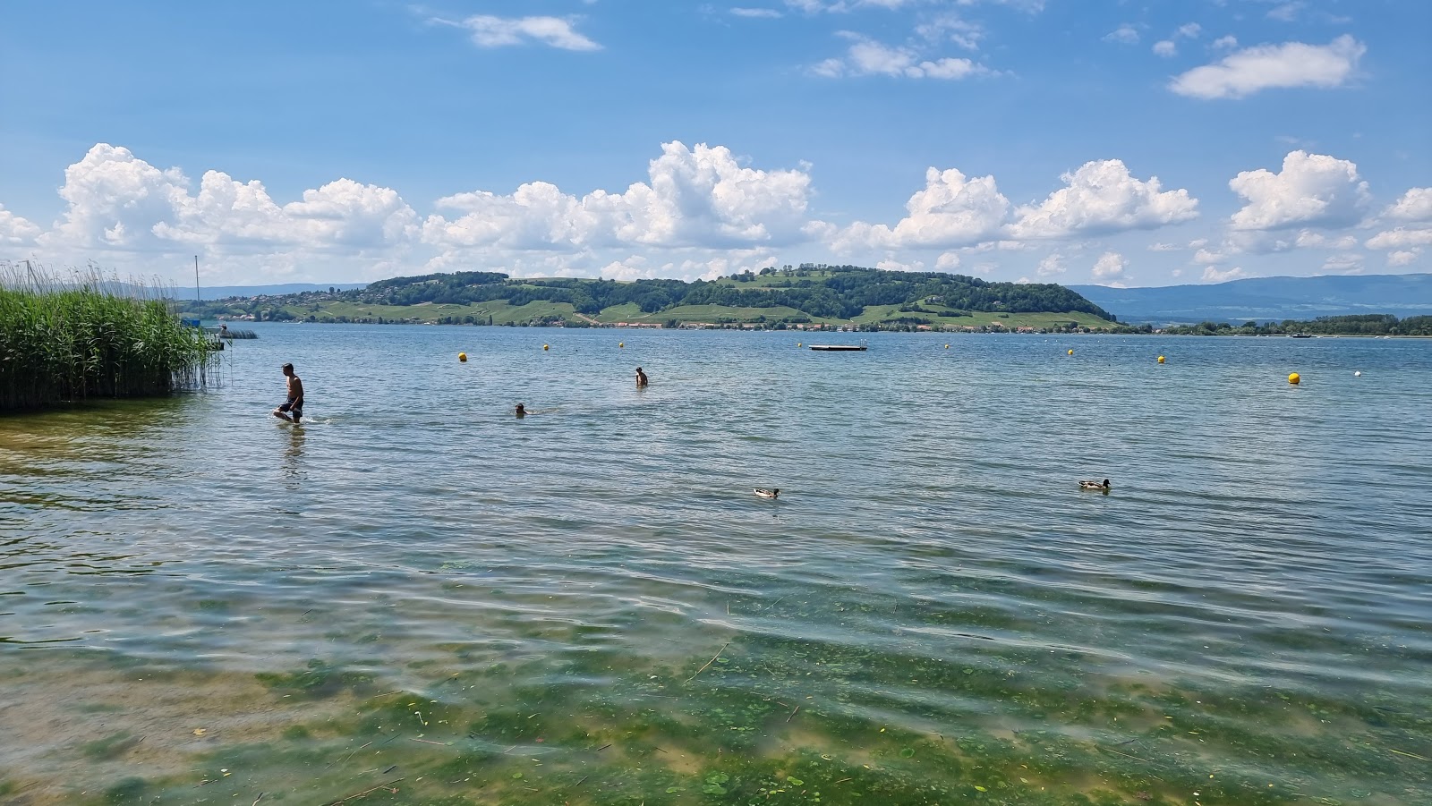 Foto van Muntelier Strandbad met turquoise puur water oppervlakte