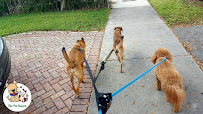 The Pet Ranch - Photo 1 - Car repair in Pembroke Pines, FL, Hialeah