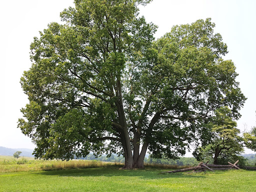 National Park «Valley Forge National Historical Park», reviews and photos, 1400 N Outer Line Dr, King of Prussia, PA 19406, USA