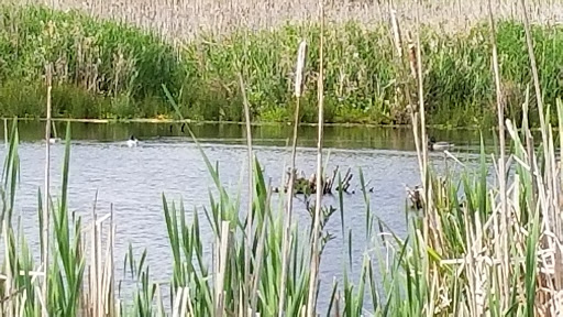 Park «N. Creek Park», reviews and photos, 1011 183rd St SE, Bothell, WA 98012, USA