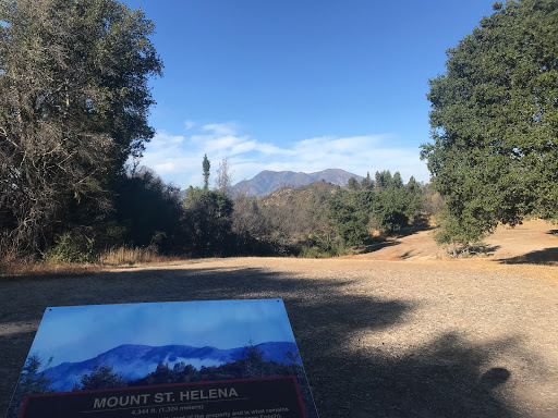 National Forest «Petrified Forest», reviews and photos