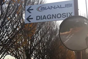 Bianalisi - Diagnosix image