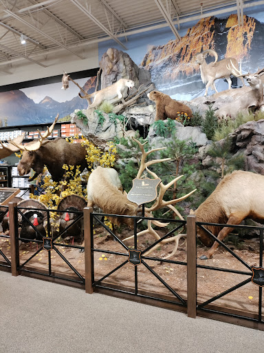 Outdoor Sports Store «Field & Stream», reviews and photos, 24600 Katy Fwy Ste 1100B, Katy, TX 77493, USA