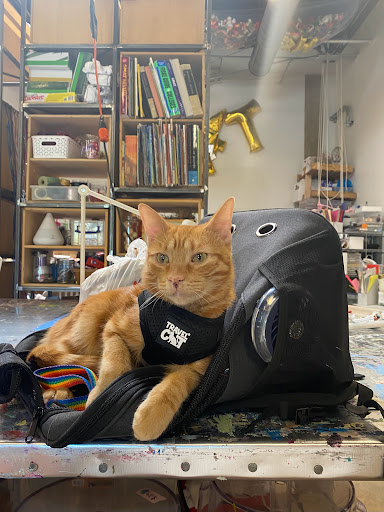 Craft Store «CRAFT», reviews and photos, 4704B E Cesar Chavez St #5, Austin, TX 78702, USA