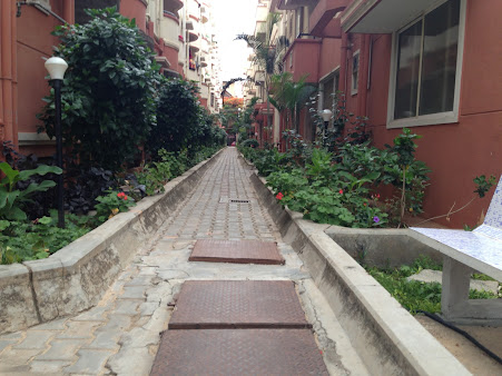 Google Maps image 13