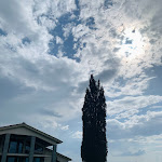 Photo n°8 de l'avis de Ana.u fait le 13/05/2022 à 15:29 sur le  Villa le Calvane à Montespertoli