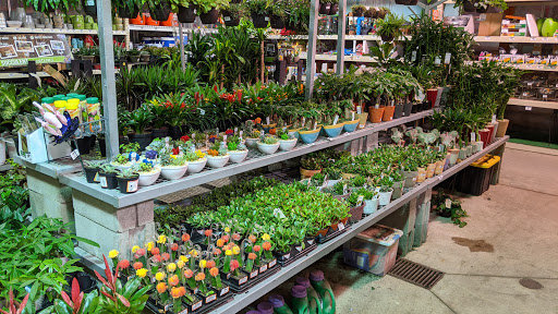 Home Improvement Store «The Home Depot», reviews and photos, 129 March Ave, Manchester, NH 03103, USA