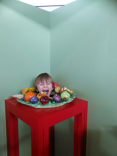 Imax Theater «Florida Hospital IMAX DOME Theatre», reviews and photos, 4801 E Fowler Ave, Tampa, FL 33617, USA