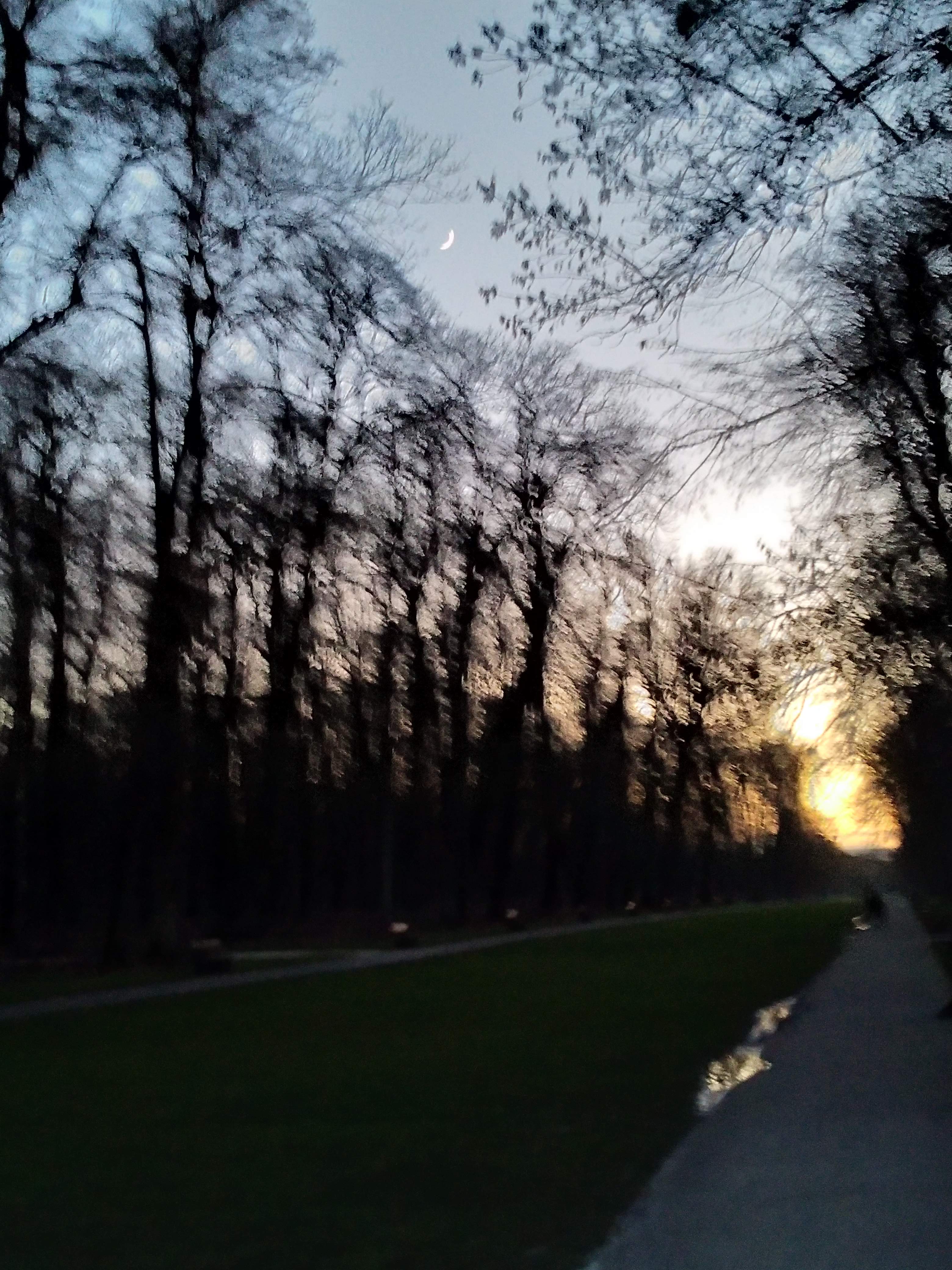 Photo n° 2 de l'avis de lucien.s fait le 08/10/2022 à 17:18