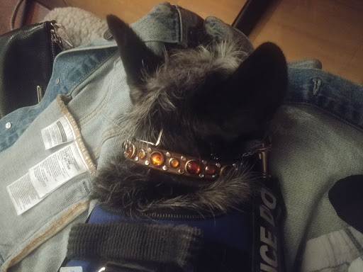 Shopping Mall «Harbour Pointe Shopping Center», reviews and photos, 11706 Mukilteo Speedway, Mukilteo, WA 98275, USA