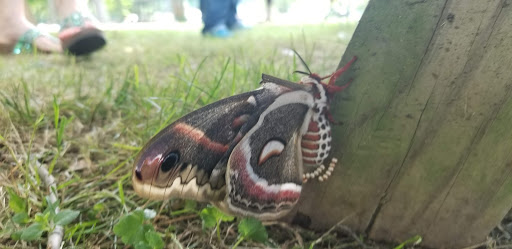 Public Swimming Pool «Water Works Family Aquatic Center», reviews and photos, 2025 Munroe Falls Ave, Cuyahoga Falls, OH 44221, USA