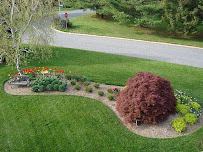 Freedom Lawns of Wilmington - Photo 2 - Car repair in Wilmington, NC, Wilmington