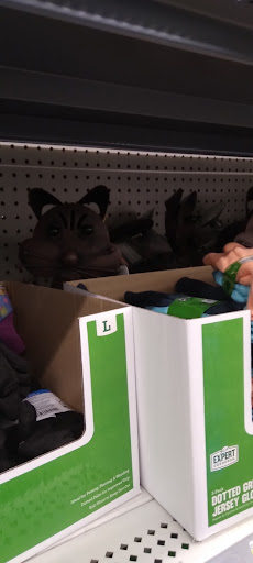 Department Store «Walmart Supercenter», reviews and photos, 1600 E Chestnut Ave, Yakima, WA 98901, USA