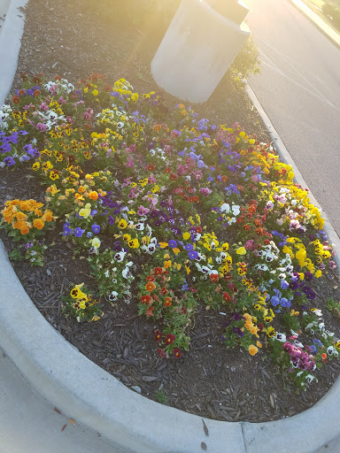 Movie Theater «Malco Olive Branch Cinema», reviews and photos, 6430 Goodman Rd, Olive Branch, MS 38654, USA