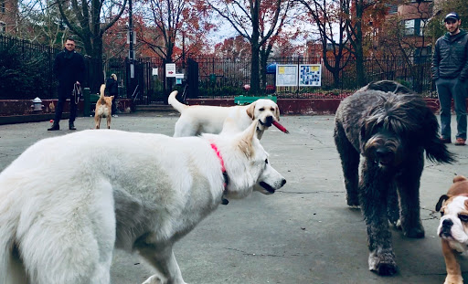 Park «Carleton Court Dog Park», reviews and photos, Southwest Corridor Path, Boston, MA 02116, USA